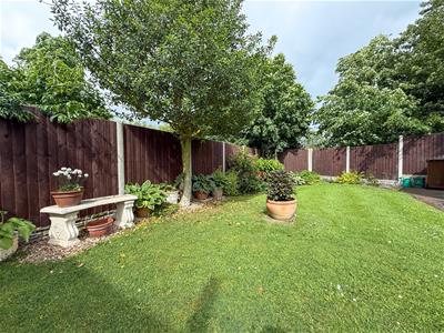 Picture 23